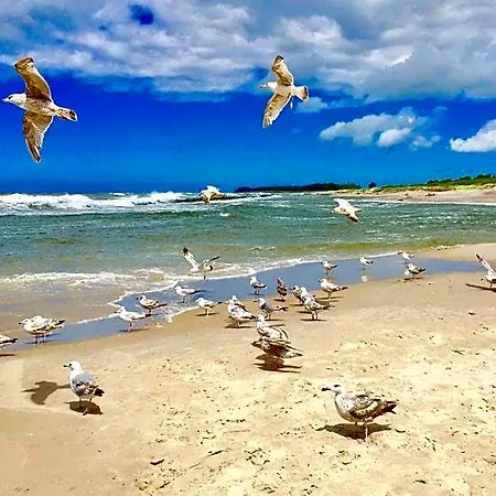 فندق Marina Z Widokiem Na Morze 4*